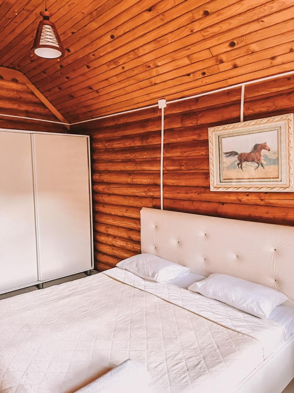 Hotel Chveneburi Machakhlispiri エクステリア 写真
